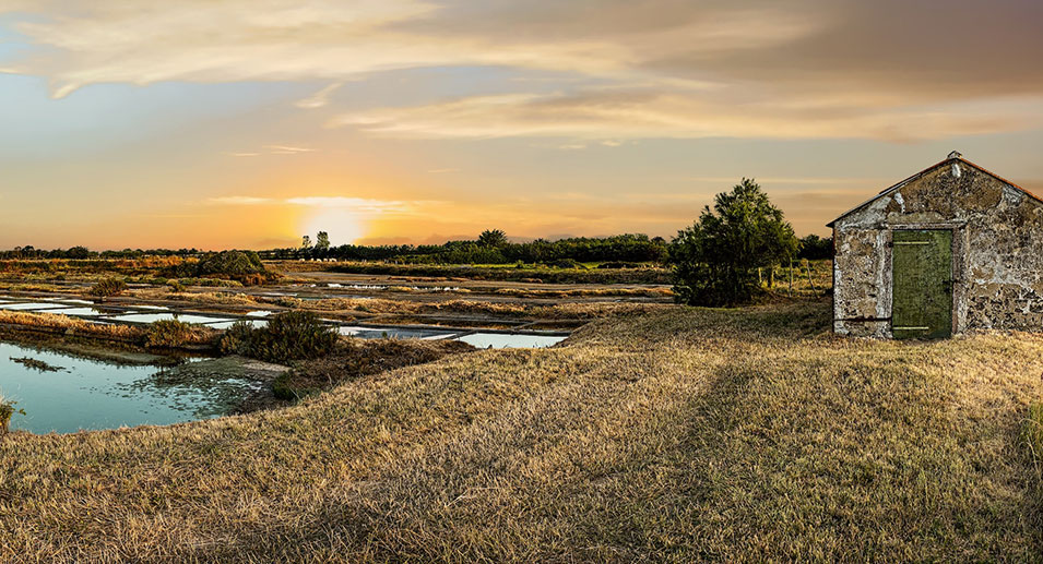 Visite des marais salants de la Guittière à Talmont Saint Hilaire